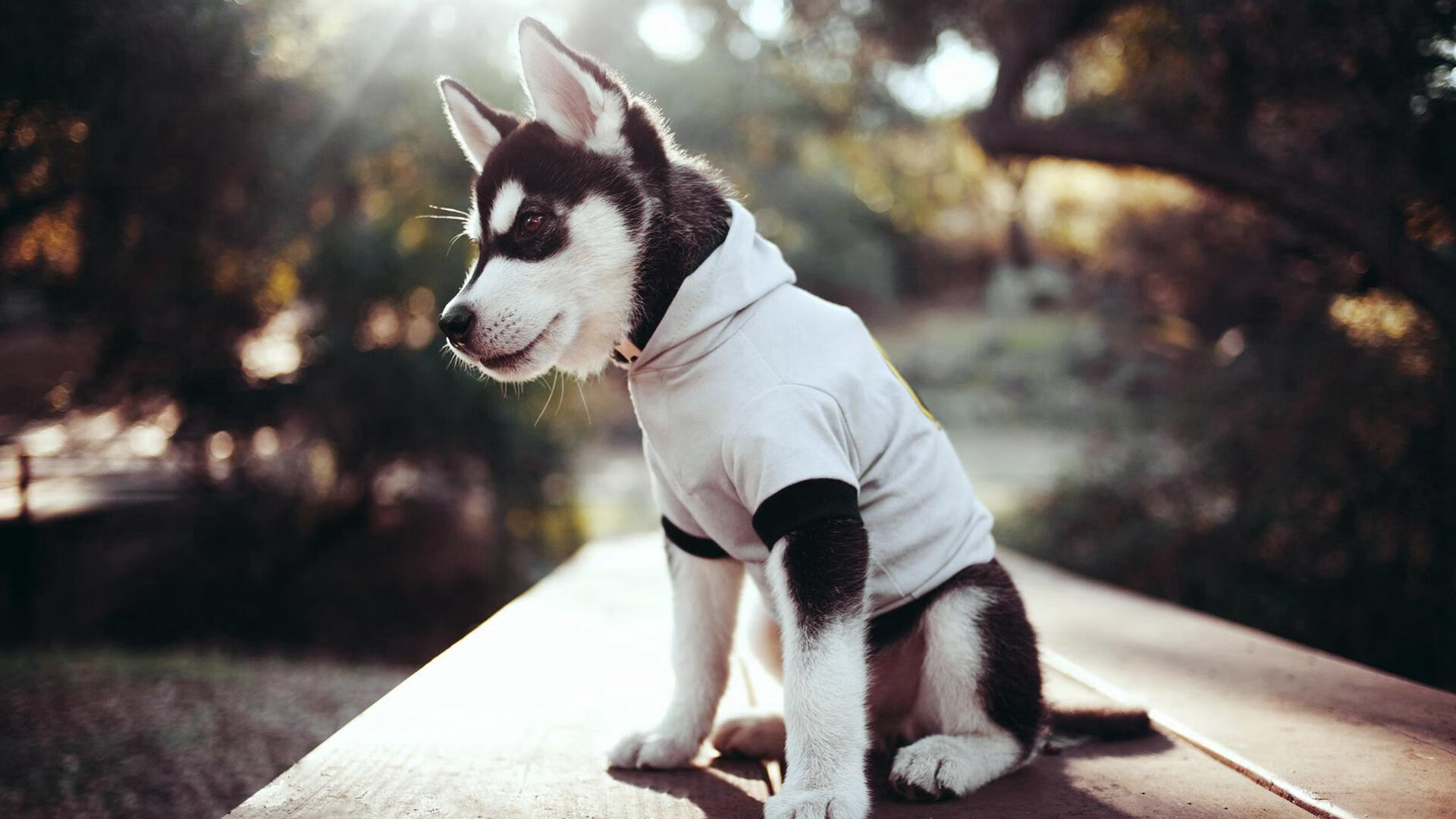 爱游戏APP-赛道剧本外，阿斯顿马丁的绝对统治与佩雷兹的横空出世