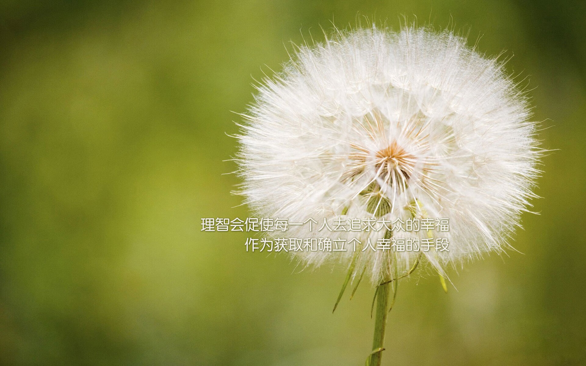 黑马逆袭，旗帜飘扬，红牛二队的绝地反击与勒克莱尔的时代担当