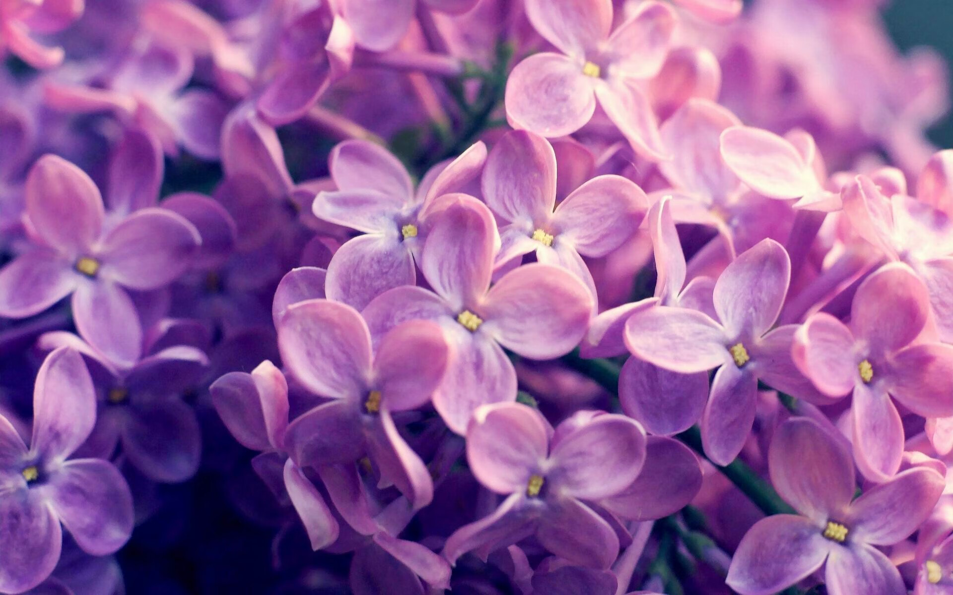 永恒72小时，当广州绝杀凯尔特人，伦纳德于另一个维度的回响