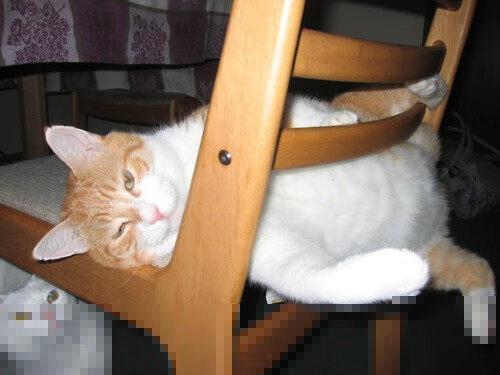 爱游戏官网-跨越太平洋的篮球风暴，德罗赞单节狂飙20分，湖人第三节发力击退新疆挑战