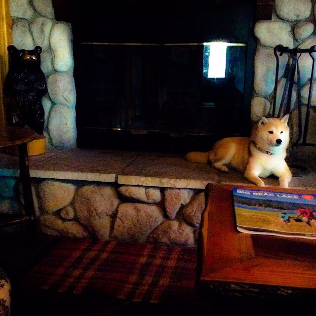 黄金城堡下的孤胆英雄，在绝望嘘声中，乔治完成最冷血的罪行