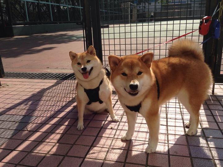 解构篮网队的战术胜利，爱德华兹的无缝切换成关键