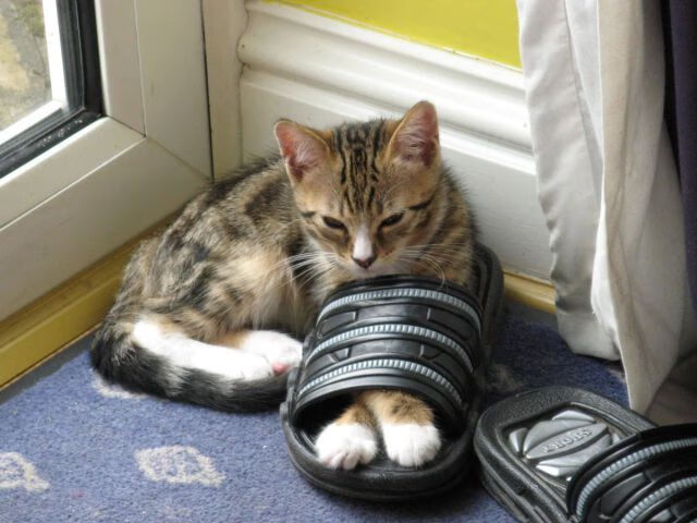 星夜之辉，迪亚斯一锤定音，莱比锡红牛如何淬炼出压倒那不勒斯的利刃？