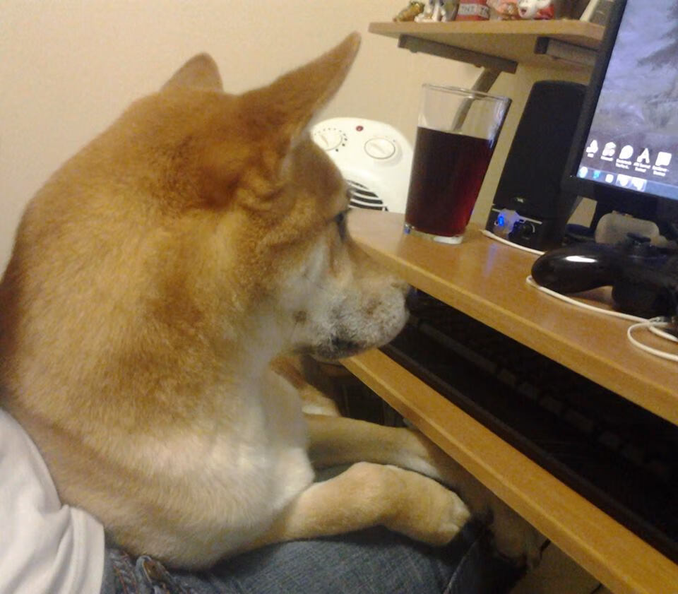 库里在虚空中睁开双眼，当公牛对阵广厦成为舞台越大越强的终极试炼