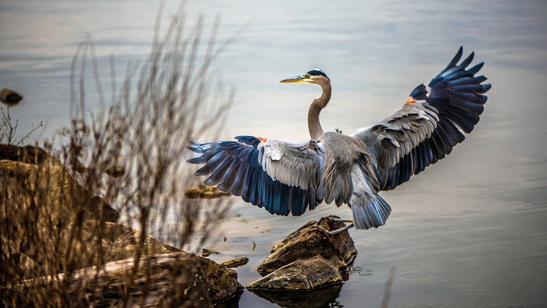 航海家的回响，当沙漠遇见海，迪巴拉在伯纳乌点亮灯塔