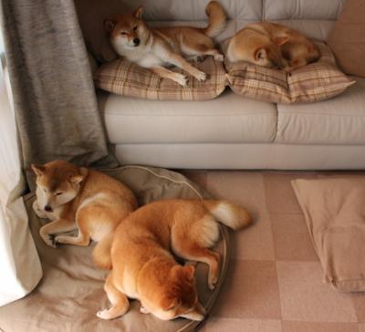 虚拟战场，NBA季后赛焦点战，巴西强行终结西班牙