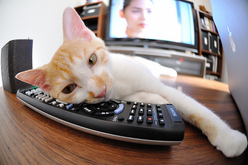 爱游戏tv-子弹时间，当德罗赞在抢七战的冰封刻度里雕琢传奇