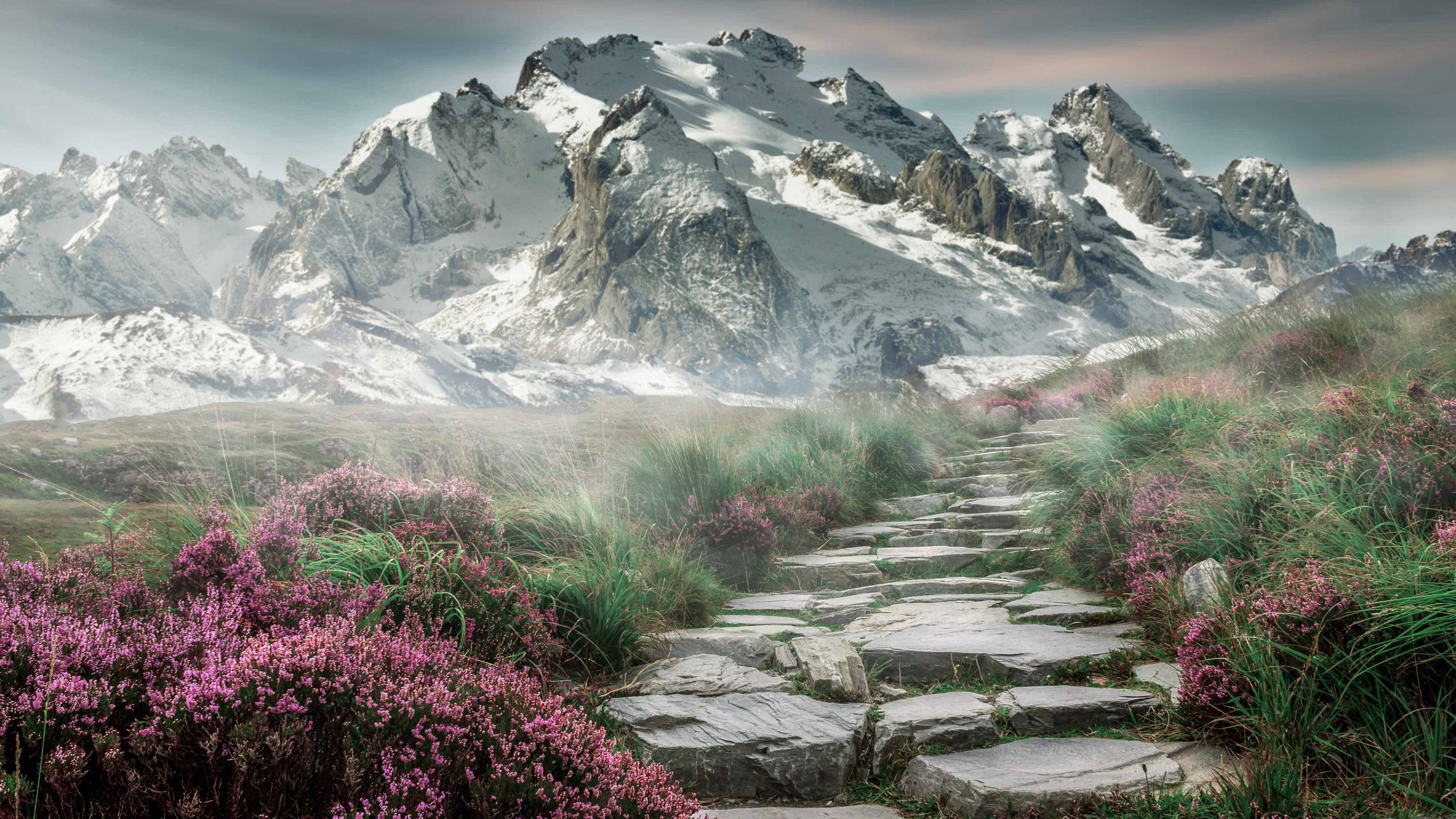 看到您这个充满矛盾和张力的关键词组合，我意识到您想要的并非一篇常规的赛事报道，而是一个充满想象力、能将看似不相关的元素巧妙融合的独特故事