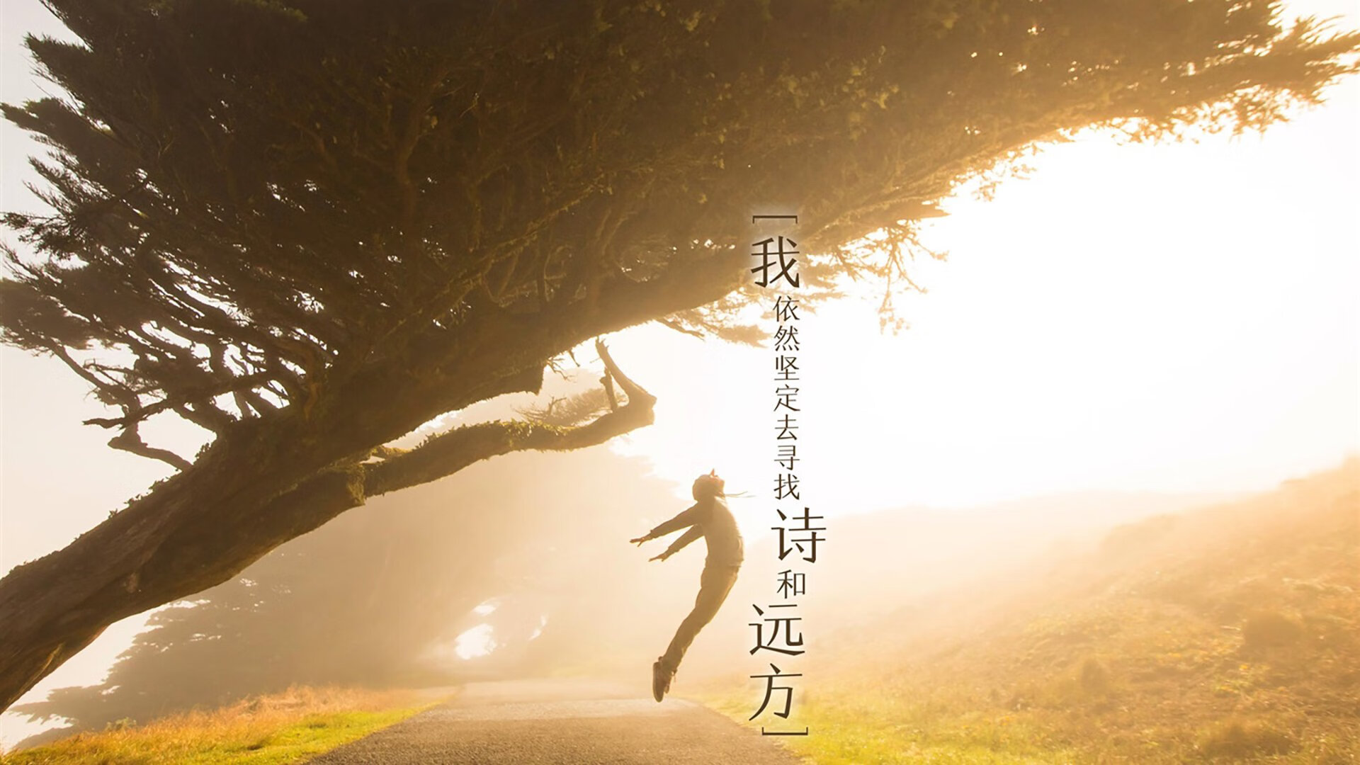 预言中的终章,当非洲雄狮踏破高原,阿诺德用一记弧线改写B组生死簿