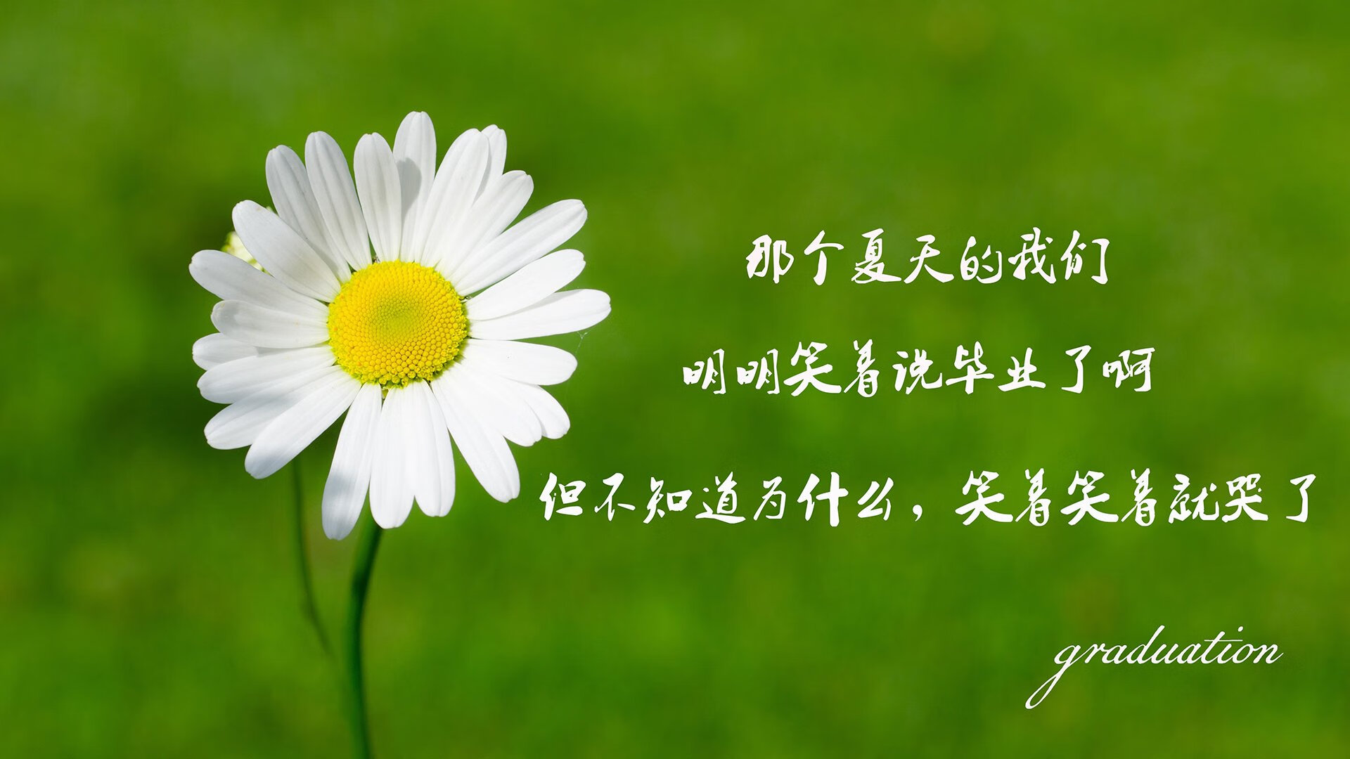 孤星逆袭,2026世界杯G组,哈兰德一人改写英伦与美利坚的节奏之战