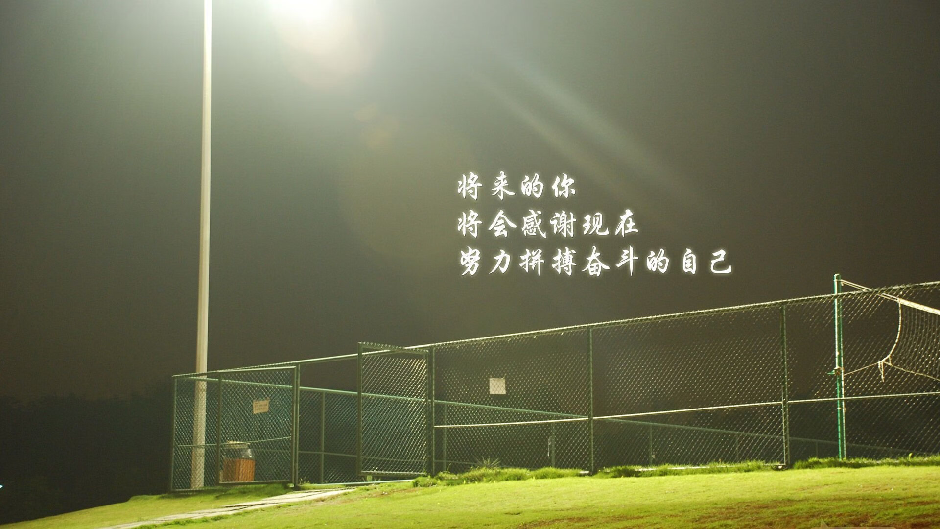 爱游戏tv-2026世界杯八分之一，阿方索·戴维斯一剑封喉，罗马尼亚快乐足球的北美终结者